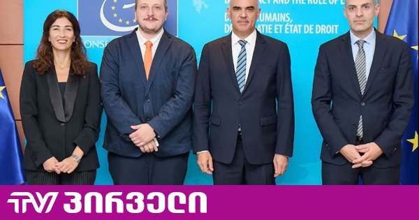არასამთავრობო ორგანიზაციების წარმომადგენლები ევროსაბჭოს გენერალურ მდივანს შეხვდნენ