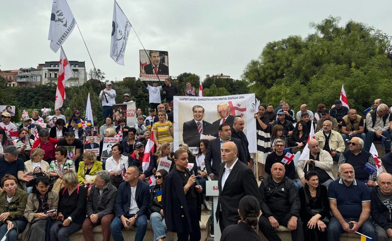 რიყის პარკში "ნაციონალური მოძრაობის" აქცია მიმდინარეობს