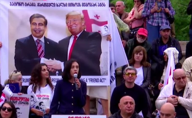 მიხეილ სააკაშვილის პატიმრობა არის ქვეყნის ეროვნული სირცხვილი - ანი წითლიძე