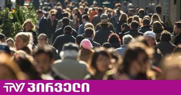 სარჯველაძე: საარსებო შემწეობის მიღება დაახლოებით, 35 000-მდე ოჯახს შეუწყდა