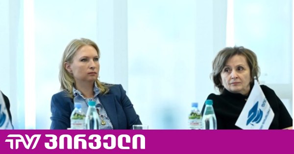 გამოძიების დაწყების გამო, სებ-ი საბჭოს სხდომებზე ნანა ყეინიშვილის დროებითი აცილების საკითხს განიხილავს