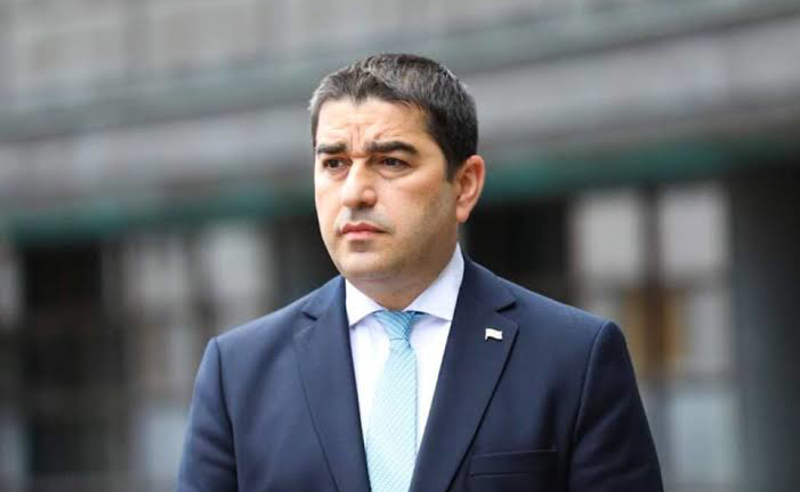 გამოძიება ნანა ყეინიშვილის წინააღმდეგ - შალვა პაპუაშვილი სალომე ზურაბიშვილ პასუხისმგებლობაზე საუბრობს