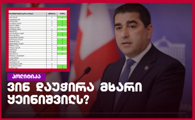 ნანა ყეინიშვილის სების საბჭოში არჩევას მხარი პაპუაშვილმაც დაუჭირა