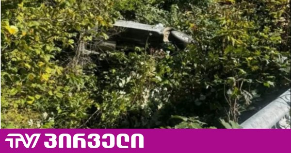 ძამას ხეობაში ექსკურსიის ავტომობილი გზის სავალი ნაწილიდან გადავარდა - არიან დაშავებულები