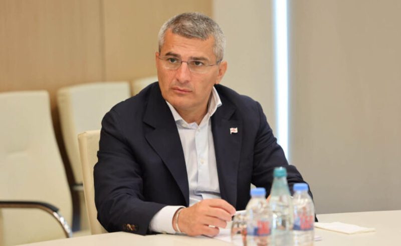 არ გამოვრიცხავ, ამ გენერალ მაიორსაც დასჭირდეს ადვოკატის დახმარება - ბესელია მდინარაძეზე