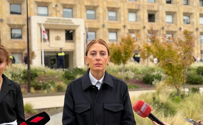 “ოცნების“ სარჩელი, პარტიების აკრძალვაზე, ეყრდნობა წულუკიანის მოაღალატეობრივი კომისიის დასკვნას- დეკანოიძე