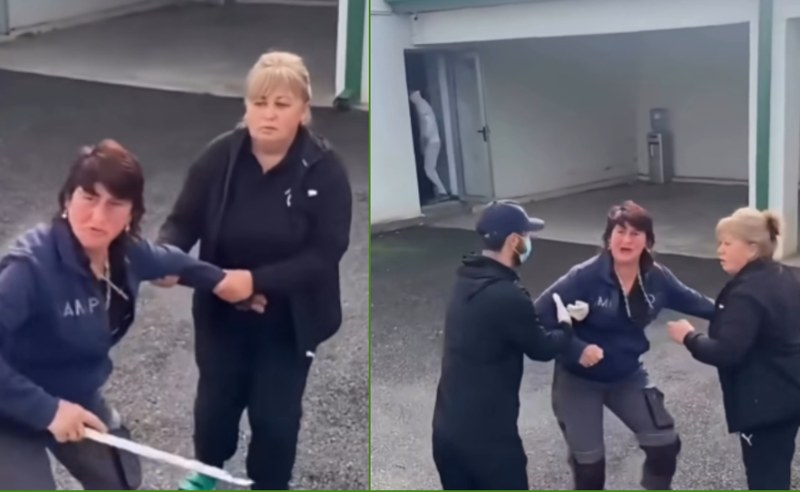 გორის ცხოველთა თავშესაფრის თანამშრომელმა აქტივისტს ჯოხი დაარტყა