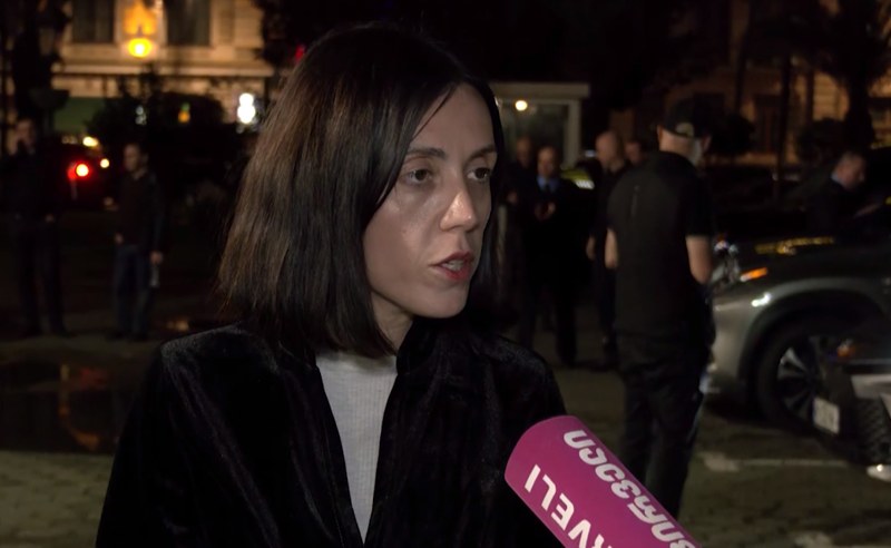 მოსამართლეებს ივანიშვილისგან ინსტრუქცია აქვთ, რომ რაც შეიძლება სწრაფად მორჩნენ პროცესს - ანა წითლიძე