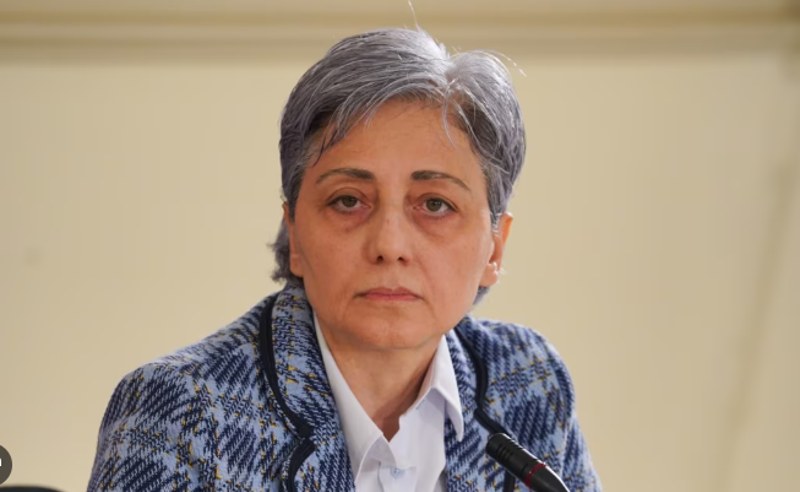 ელენესთვის საპატიმრო სასჯელი “ქართული ოცნების“ სახეა - მაია კოპალეიშვილი