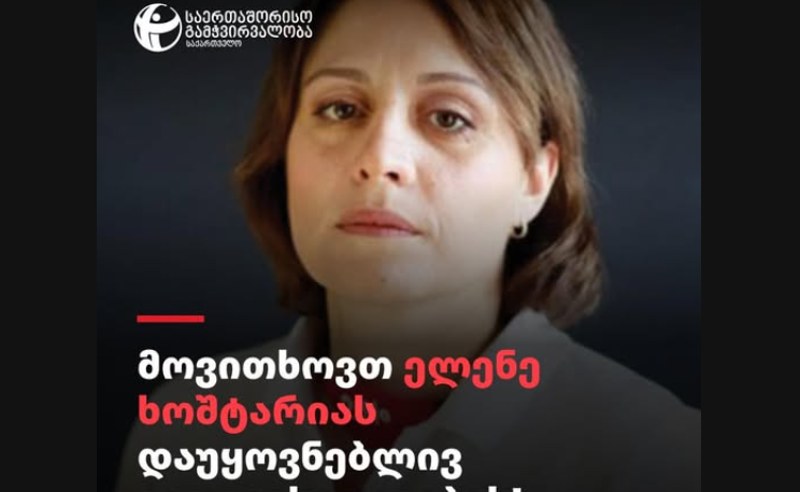 TI: ელენე ხოშტარიას ჯანმრთელობაზე პასუხისმგებლობა ივანიშვილსა და „ქართულ ოცნებას“ ეკისრებათ