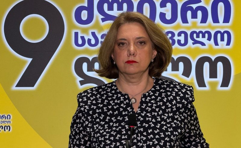 სანამ ეს ხელისუფლება მართავს ქვეყანას, პროგრესის მოლოდინი არ მაქვს - სამადაშვილი დავით-გარეჯზე