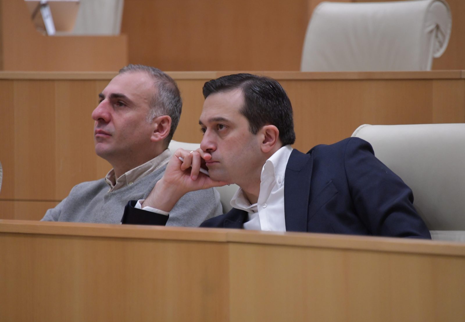 ომბუდსმენი ალეკო ელისაშვილის საქმეზე სააპელაციო სასამართლოს „სასამართლოს მეგობრის“ მოსაზრებით მიმართავს და აღნიშნავს, რომ სასამართლომ ტერორისტული მიზანი პოლიტიკურ პროტესტთან ავტომატურად გააიგივა