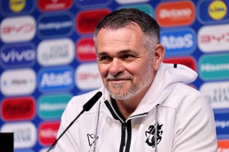 ვილი სანიოლმა საქართველოს ეროვნული საფეხბურთო ნაკრები დატოვა