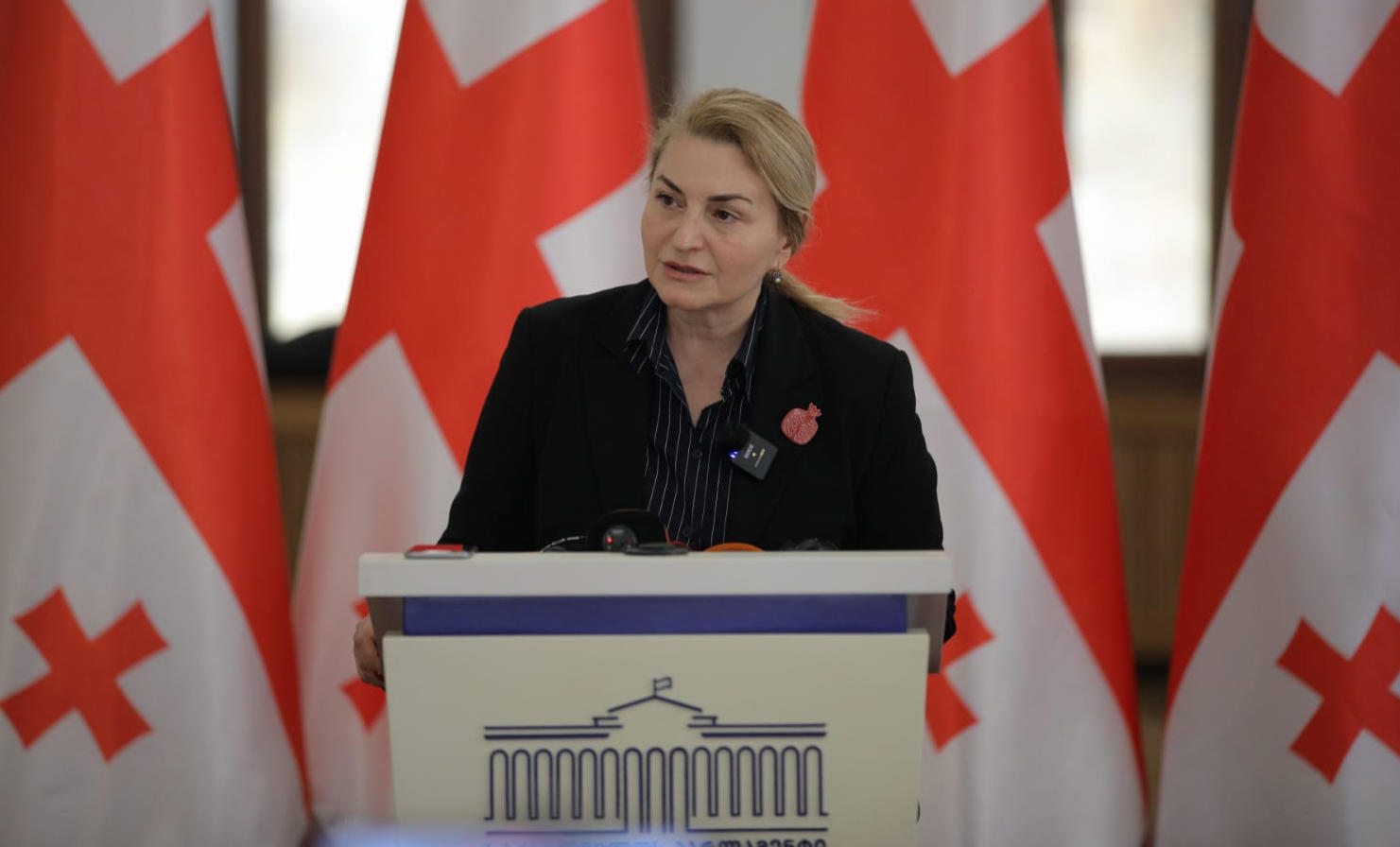 სოფიო ხორგუანი რუსთავის N6 პენიტენციურ დაწესებულებაში მსჯავრდებულ გიორგი დავითაძეს მოინახულებს