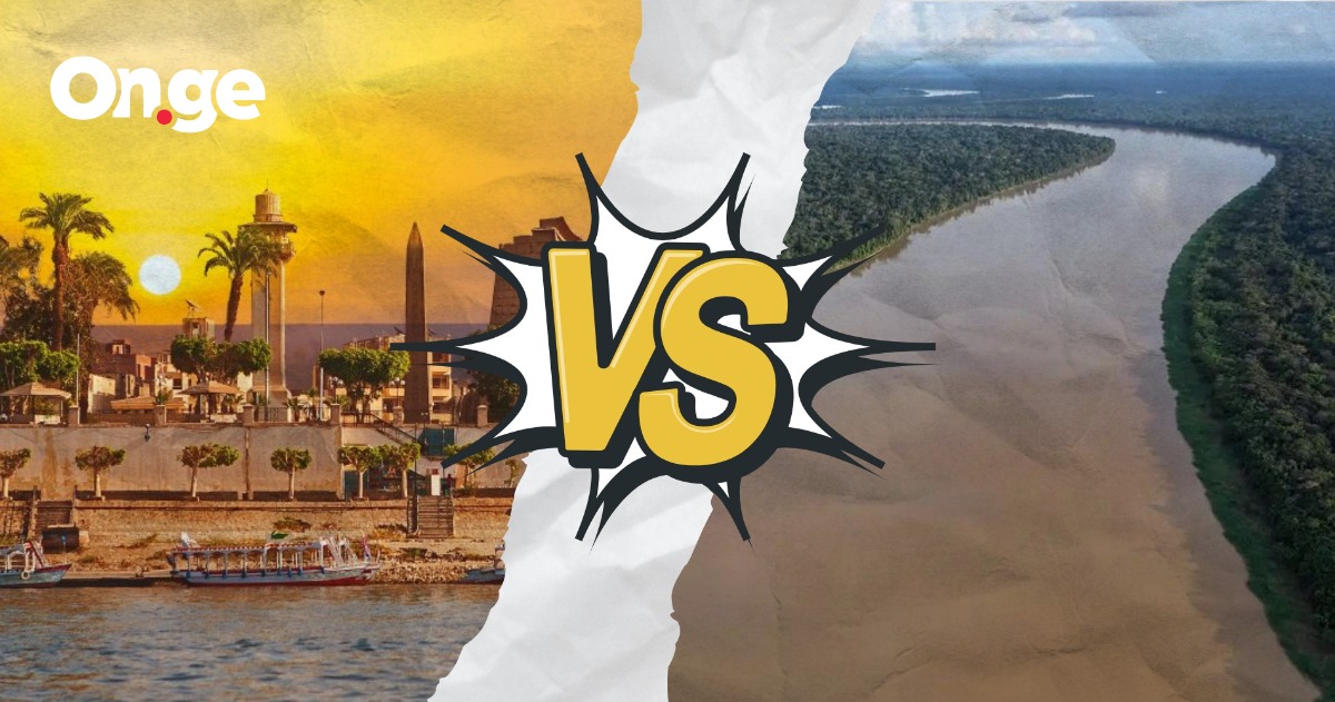 ქვიზი: გახსოვს, რომელი მდინარე უფრო გრძელია?