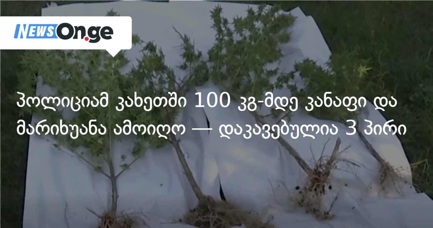 პოლიციამ კახეთში 100 კგ-მდე კანაფი და მარიხუანა ამოიღო — დაკავებულია 3 პირი