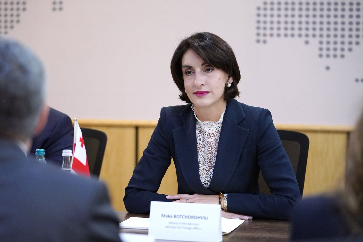 პარტიების აკრძალვის პროცესის კრიტიკის გამო საგარეო საქმეთა სამინისტრო ევროკავშირის წარმომადგენლებს ჩარევაში ადანაშაულებს
