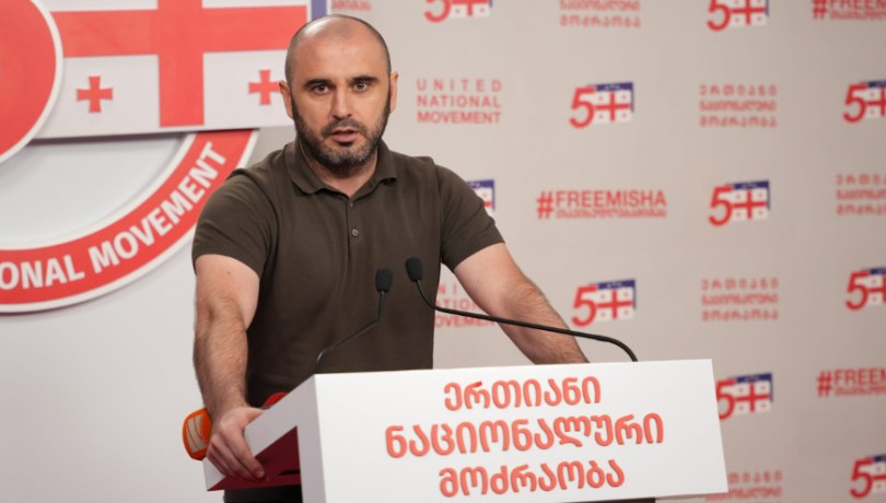 ხაბეიშვილი: [სანაიას] რუსების ოფიციალური წარმომადგენლობა არ ასვენებს, მუდმივად ცდილობს დაატყვეოს