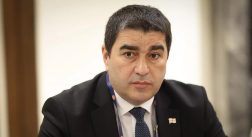პაპუაშვილი სანაიას პატიმრობაზე: თუ საჯარო სივრცეში უხამსობის სითამამე აქვს, პასუხიც უნდა აგოს