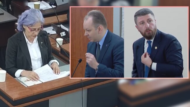 ჩემი სტუდენტები იყვნენ, რა საფრთხეს წარმოვადგენ მე? - კოპალეიშვილი „ოცნების“ დეპუტატებს