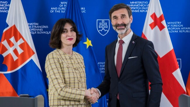 ბოჭორიშვილი: ეუთოს თავმჯდომარეობაზე საქართველოს კანდიდატურას ევროკავშირის ზოგი ქვეყანა „დახურულ კარს მიღმა“ უჭერს მხარს