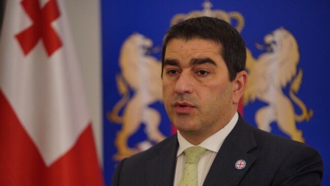 პაპუაშვილი ადენაუერის ფონდზე: "სხვა ქვეყნის ფონდებს საქართველოში პოლიტიკური მისია შესასრულებელი არა აქვთ"