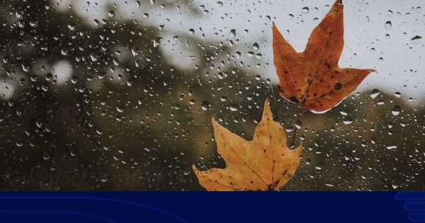 როგორი ამინდია მოსალოდნელი დღეს საქართველოში