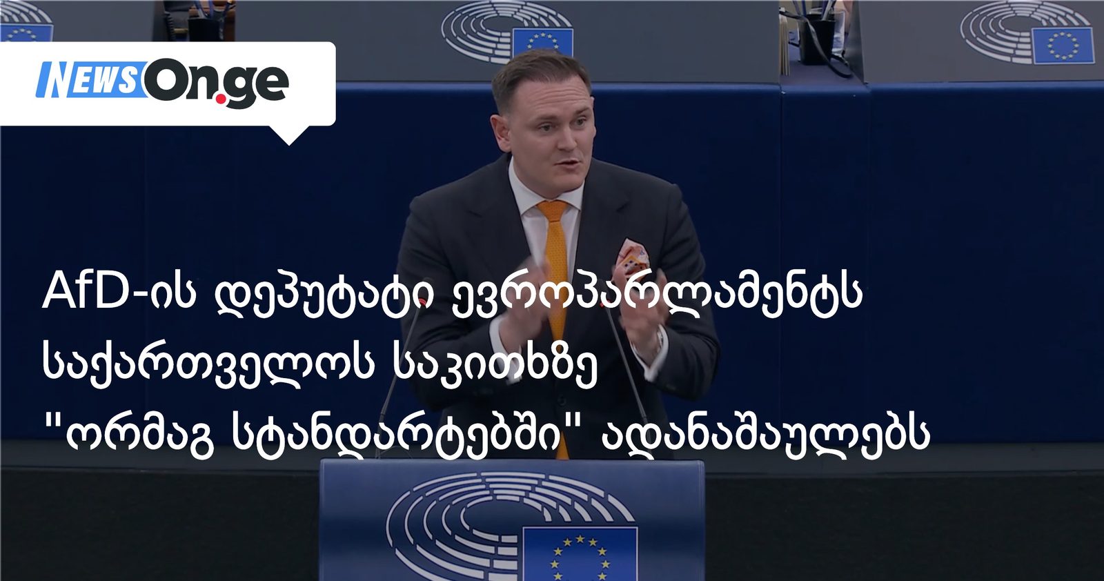 AfD-ის დეპუტატი ევროპარლამენტს საქართველოს საკითხზე "ორმაგ სტანდარტებში" ადანაშაულებს