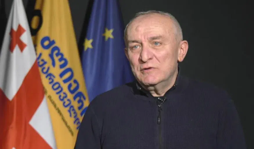 "სინდისის პატიმარი ნიშნავს სინდისის პატიმარს და „ქოლ-ცენტრებით“, ღორმუცელობითა და თავგასულობით ციხეში აღმოჩენილი ადამიანი სინდისის პატიმრის კატეგორიაში არ გადის"