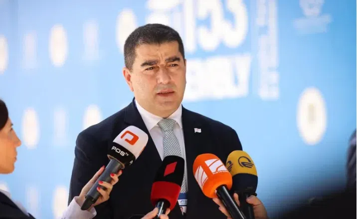 "ნახევრად ირონიით ვიტყვი, რომ შვილი უნდა გაზარდო მამამ ასეთი, როგორიც ბურჭულაძემ და ჩახუნაშვილმა გაზარდეს, საკუთარ მამას ციხეში რომ ტოვებენ" - შალვა პაპუაშვილი