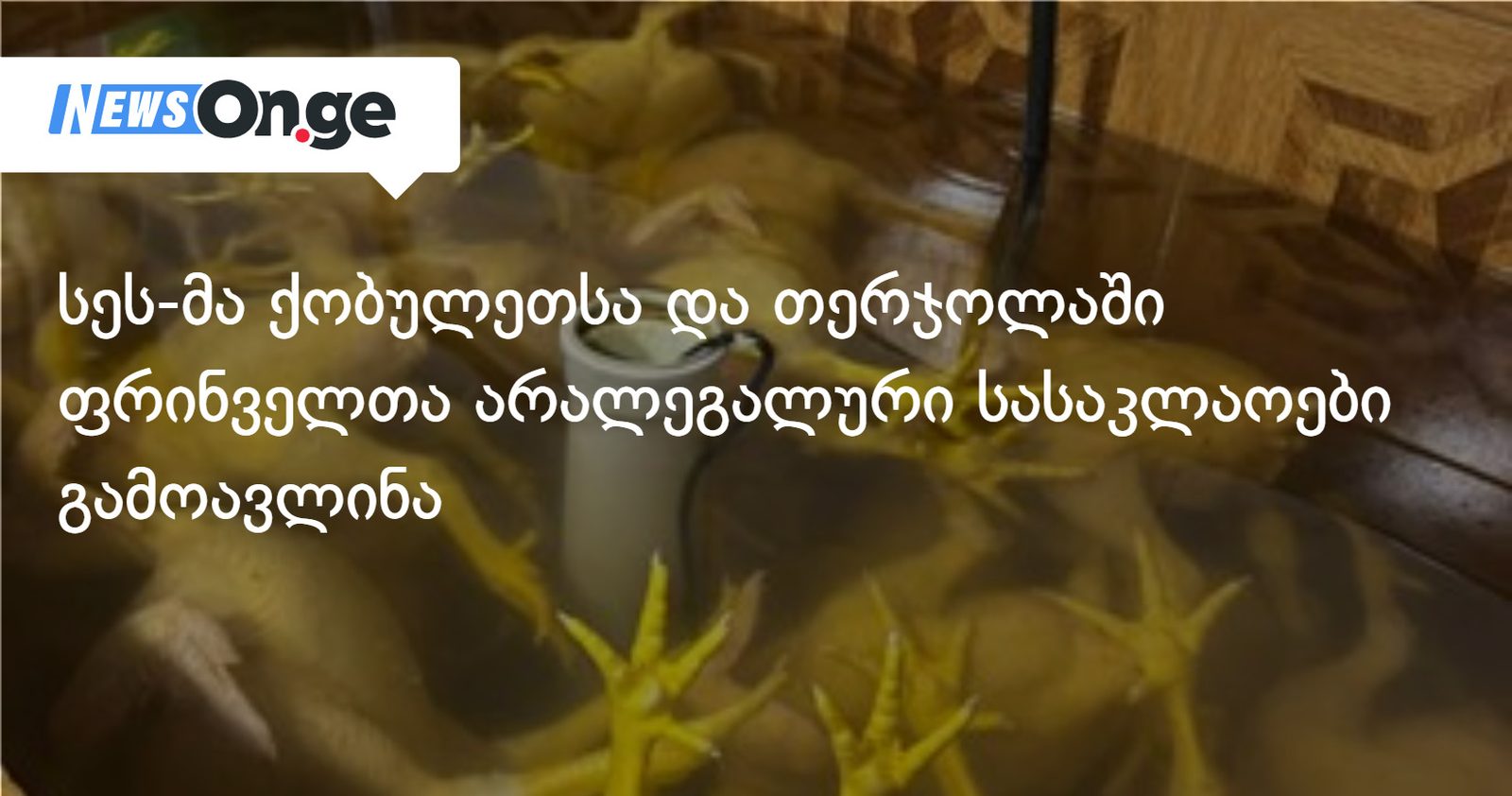 სეს-მა ქობულეთსა და თერჯოლაში ფრინველთა არალეგალური სასაკლაოები გამოავლინა