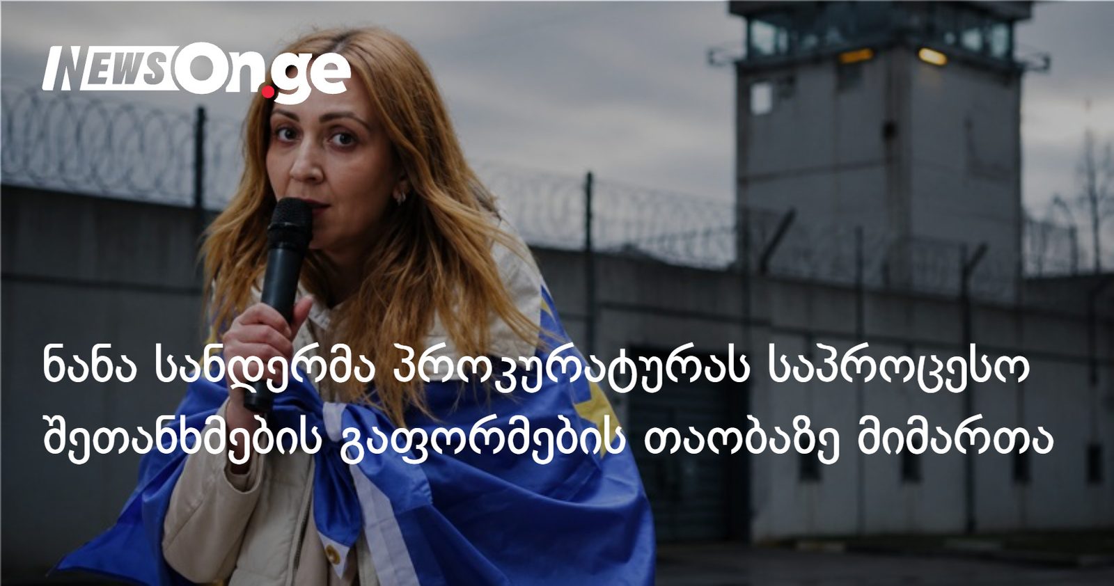 ნანა სანდერმა პროკურატურას საპროცესო შეთანხმების გაფორმების თაობაზე მიმართა