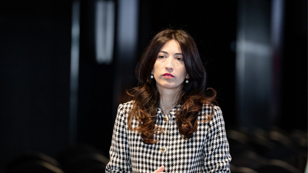 ღარიბაშვილიც კი ადასტურებს, რომ დღეს სახელმწიფო მიტაცებულია – დოლიძე