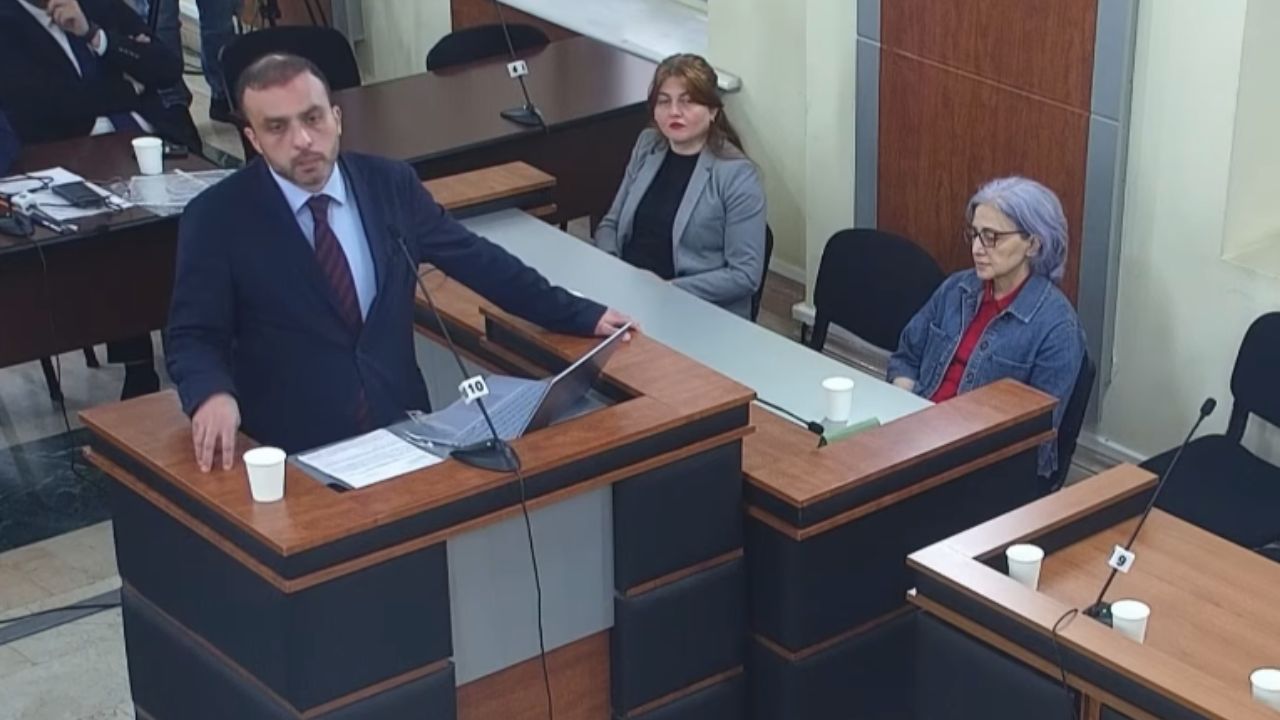 სარჩელის გაზიარება რუსეთის სასარგებლოდ სუვერენიტეტის კონსტიტუციურ თვითშეზღუდვას შეიძლება გაუტოლდეს — სიორიძე