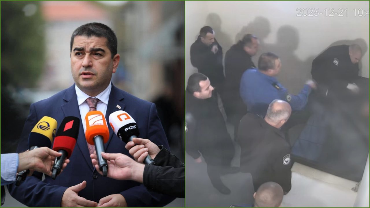 პაპუაშვილი დავითაძის საქმის გაშუქების გამო ონლაინმედიებს აკრიტიკებს