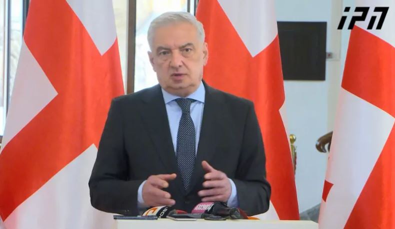 გია ვოლსკი - ALDE-ს ჩვენს მიმართ უამრავი ცოდვა აქვს