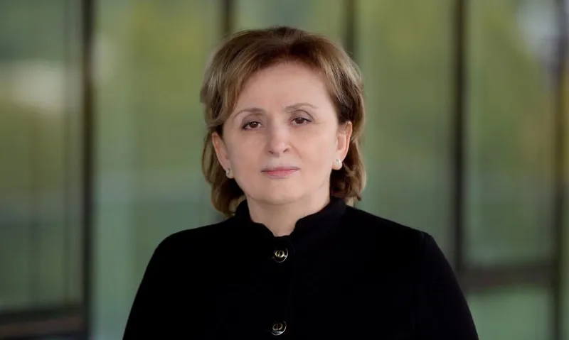 ნანა ყეინიშვილმა, რომლის წინააღმდეგაც გამოძიება მიმდინარეობს, ეროვნული ბანკის საბჭო დატოვა