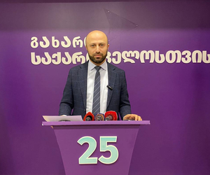 "გახარია საქართველოსთვის": ანექსიასთან დაკავშირებით, "ოცნების" ხელისუფლება აგრძელებს დანაშაულებრივ დუმილს და უმოქმედობას