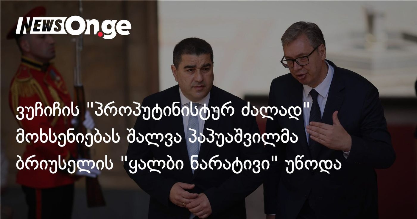 ვუჩიჩის “პროპუტინისტურ ძალად” მოხსენიებას შალვა პაპუაშვილმა ბრიუსელის “ყალბი ნარატივი” უწოდა
