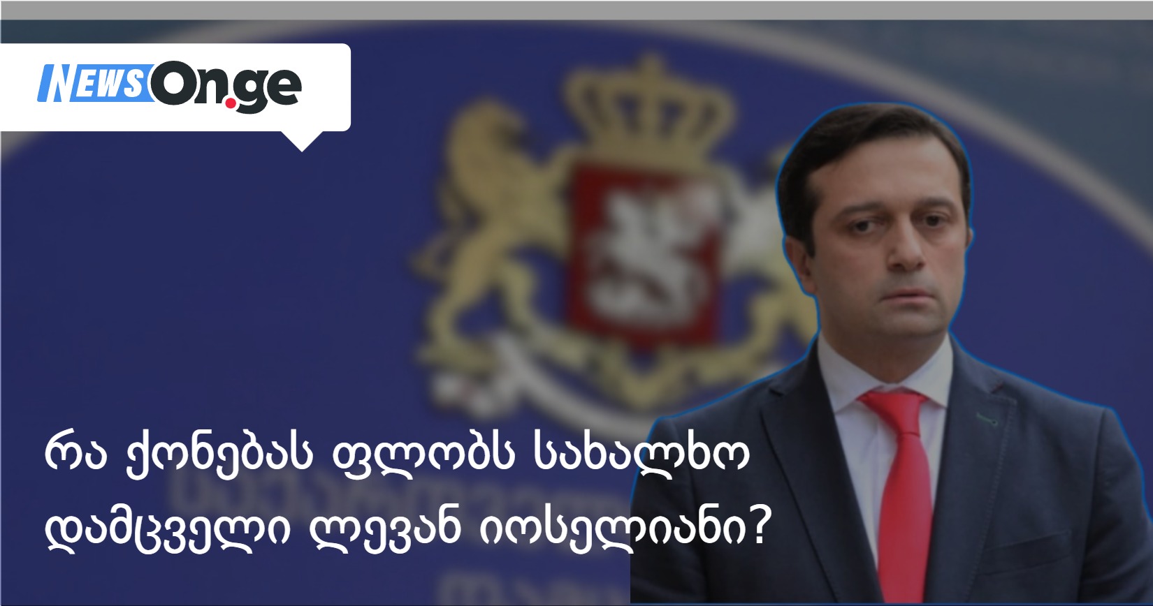 რა ქონებას ფლობს სახალხო დამცველი ლევან იოსელიანი?