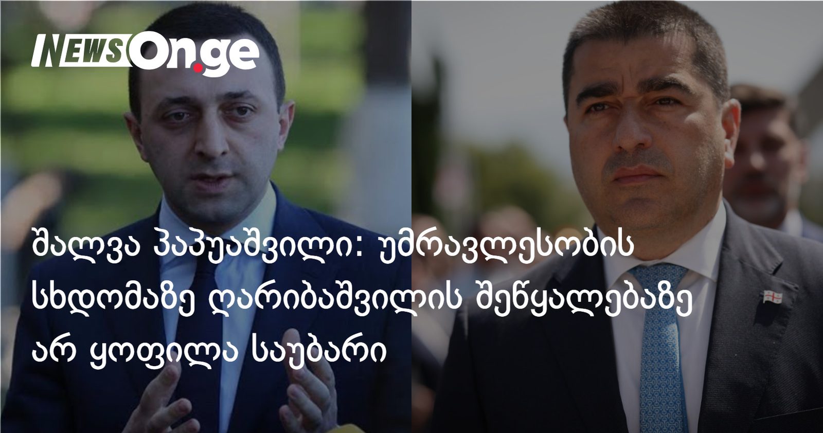შალვა პაპუაშვილი: უმრავლესობის სხდომაზე ღარიბაშვილის შეწყალებაზე არ ყოფილა საუბარი