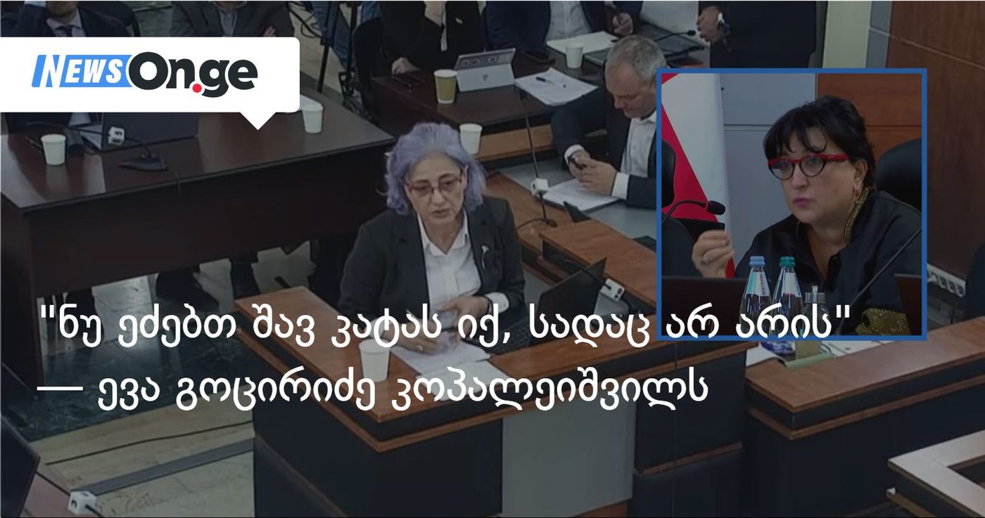 ნუ ეძებთ შავ კატას იქ, სადაც არ არის — ევა გოცირიძე კოპალეიშვილს