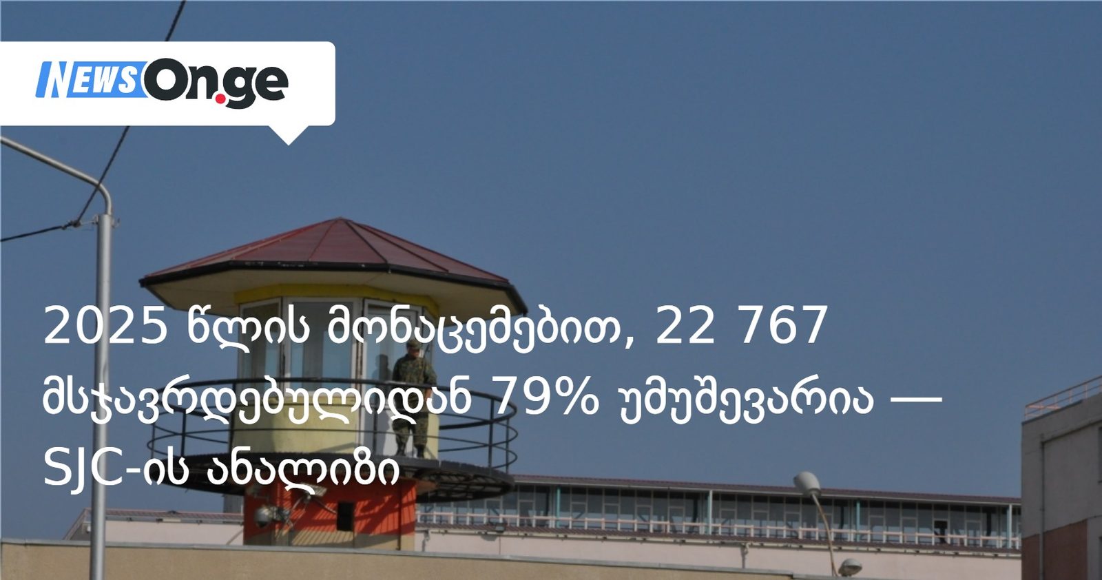 2025 წლის მონაცემებით, 22 767 მსჯავრდებულიდან 79% უმუშევარია — SJC-ის ანალიზი