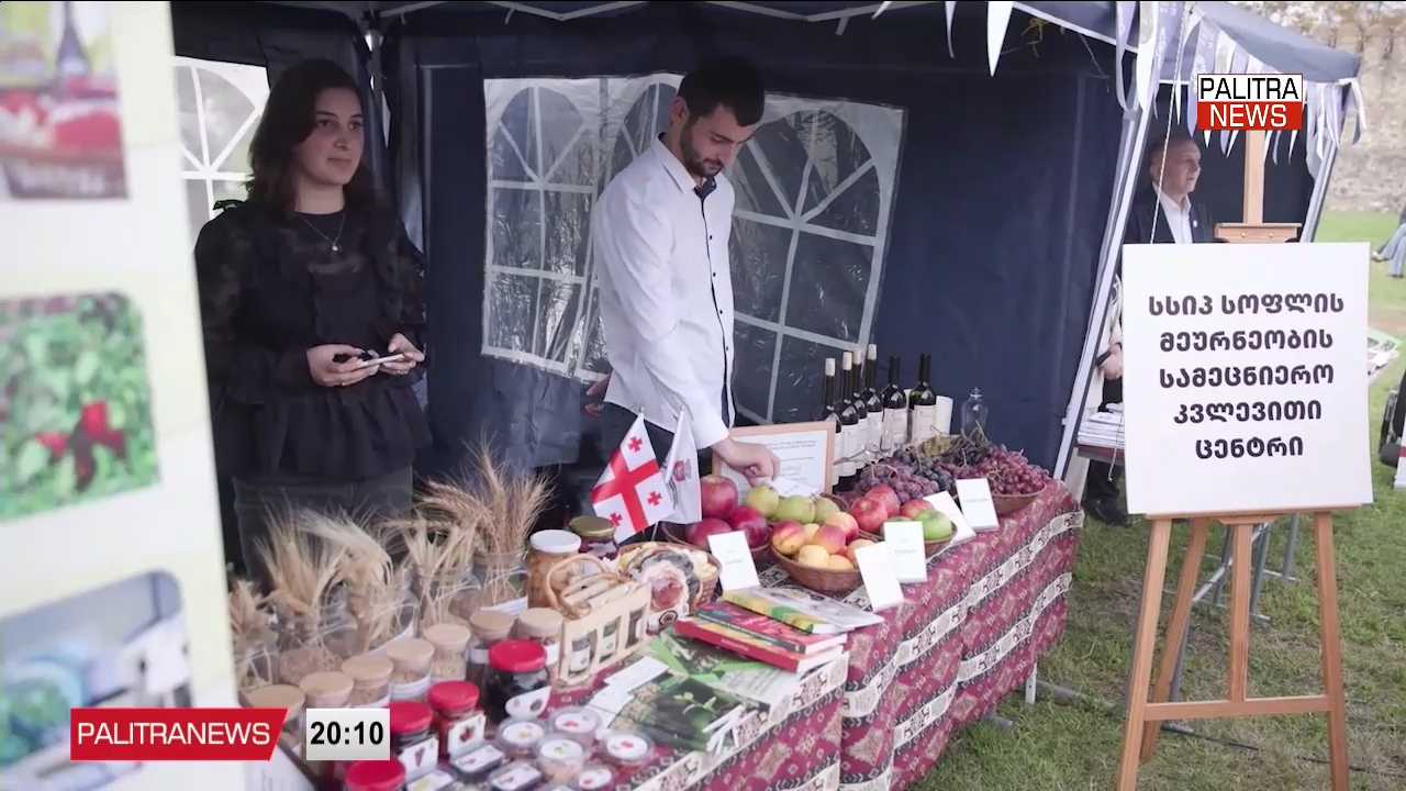 თელავში მეცნიერების ფესტივალი გაიმართა - ღონისძიებას განათლების მინისტრი დაესწრო