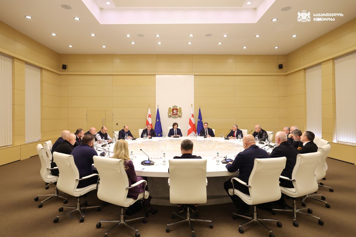 მთავრობის ინიციატივა: მინისტრის პირველ მოადგილეს ან მოადგილეს პრემიერ-მინისტრის სპეციალური წარმომადგენლის ფუნქცია შეიძლება დაეკისროს - აღნიშნული დამატებით ანაზღაურებას არ ითვალისწინებს
