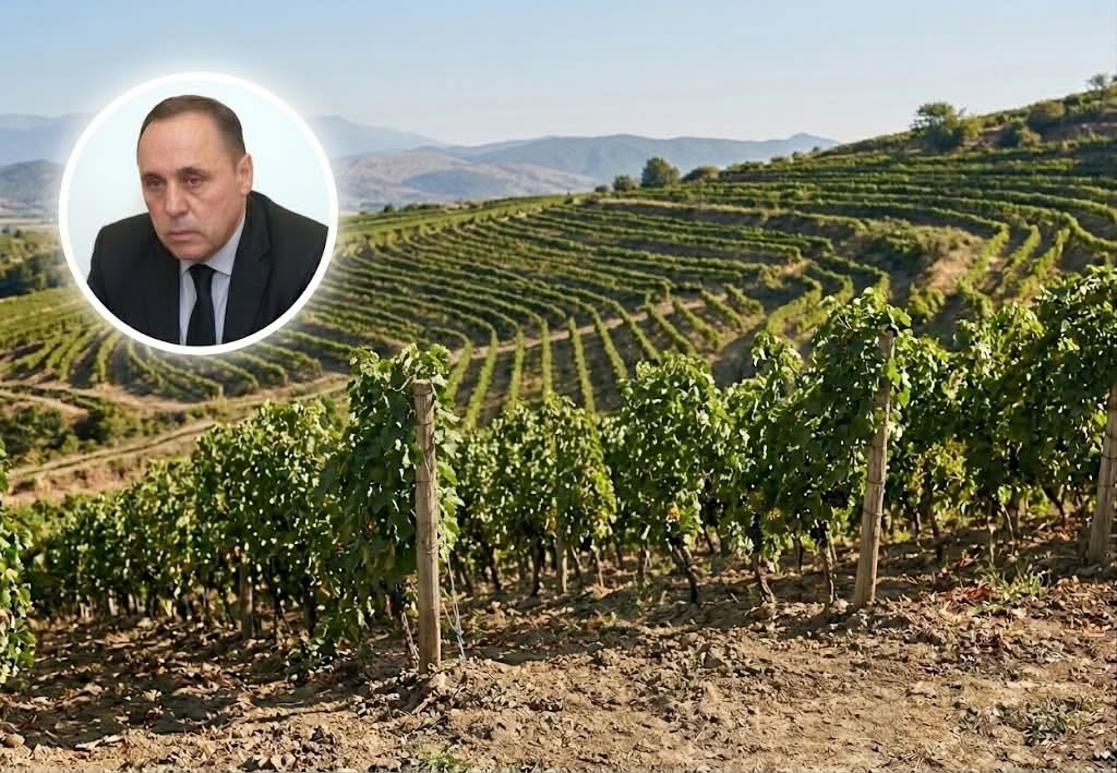 „ღვინის ეროვნული სააგენტო, სამწუხაროდ, გახდა სპირტის ეროვნული სააგენტო - სპირტის ინტერესი ძალიან ცუდ ფაქტორად ჩამოყალიბდა“