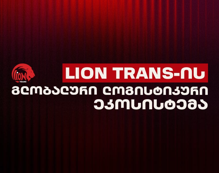 Lion Trans-ის გლობალური ლოგისტიკური ეკოსისტემა