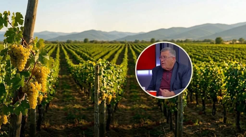 "ჩვენ გვაქვს ყურძნის დეფიციტი, მაგრამ გვაქვს ისეთი ყურძნის პროფიციტი, რომელიც ღვინისთვის კარგი არაა - ძაღლის თავი დამარხული ამაშია"