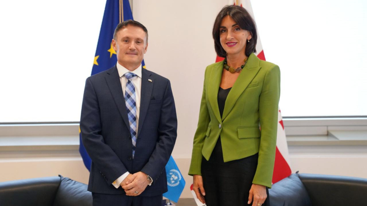 მაკა ბოჭორიშვილი საქართველოში გაეროს რეზიდენტ-კოორდინატორს, დიდიე ტღებიუკს შეხვდა