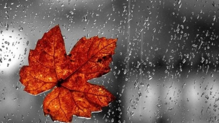 19 და 20 სექტემბერს საქართველოს უმეტეს ტერიტორიაზე ნალექია მოსალოდნელი